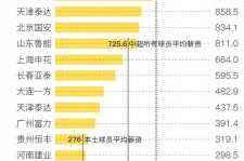 巴音郭楞关于伴游小丽中国足球的信息