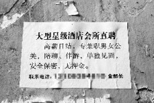 巴音郭楞珠海伴游雇用网(珠海游览社雇用信息)