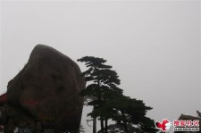 巴音郭楞上海伴游私家陪游雇用女模(上海伴游私家陪游雇用女模特)
