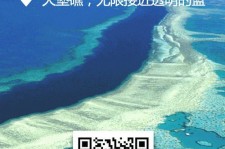 巴音郭楞中国250家旅行社结伴游新西兰(新西兰当地旅行社)