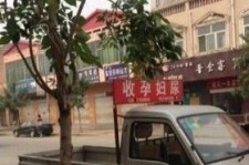 巴音郭楞上海伴游 用伴游造句大全(5