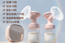 巴音郭楞奶模(奶模型)
