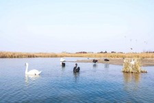 巴音郭楞南昌附近伴游小妹兼职(1534939978姐的微信德惠市)