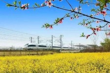 巴音郭楞高铁游(高铁游戏下载手机版)