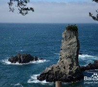 巴音郭楞旅游全攻略(上海旅游全攻略)