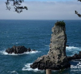 巴音郭楞旅游全攻略(上海旅游全攻略)