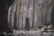 巴音郭楞上海私人伴游 上海伴游，上海兼职伴游安全吗
