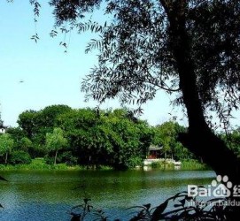 巴音郭楞西湖旅游攻略(上海到杭州西湖旅游攻略)