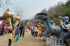 巴音郭楞中国伴游带你打卡网红南山竹海(南山竹海网上预约)
