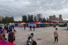 巴音郭楞通辽伴游雇用(哈尔滨伴游雇用)