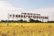 巴音郭楞关于成都商务伴游外围雇用的信息