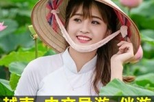 巴音郭楞日本关东伴游中国(日本关西旅行)