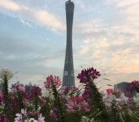 巴音郭楞广州旅游攻略(杭州到广州旅游攻略)