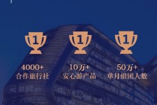 巴音郭楞上海私人伴游 ​ “小而美”的新时代：2020年国内新跟团消费报告