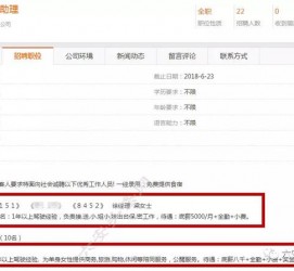 巴音郭楞广州伴游雇用平台(广州私家助理伴游雇用)