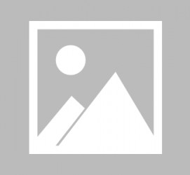 巴音郭楞上海雇用伴游实在履历(网上那些伴游雇用是实的吗?)