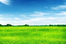 巴音郭楞上海伴游 上海模特伴游微信号的交友宣言