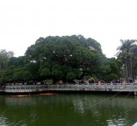 巴音郭楞福州旅游攻略(福州旅游攻略二日游)