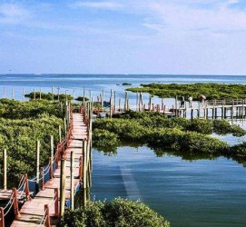 巴音郭楞旅游哪里好玩(云南旅游哪里好玩)