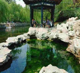 巴音郭楞济南旅游攻略(青岛威海济南旅游攻略)