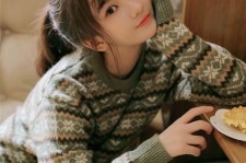 巴音郭楞伴游雇用**(伴游雇用一单一结)