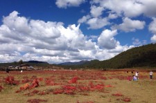 巴音郭楞旅游去处(暑期最好的旅游去处)