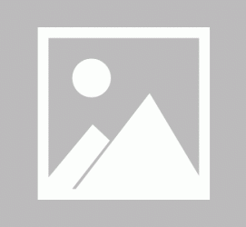 巴音郭楞私人伴游 黄金周里动“黄”经 天津又现“私人陪游”逆流